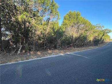 15723 Salado Dr, Temple, TX 76502 - photo 3