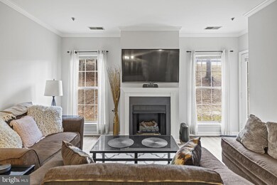 The Pavillion unit 103, Falls Church, VA 22043 - photo 4