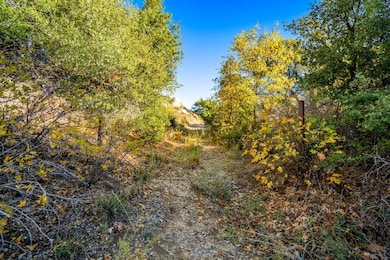 Doane Valley Rd, Palomar Mountain, CA 92060 - photo 4