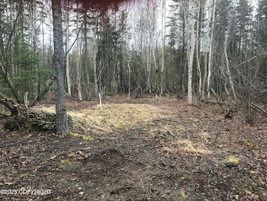 7963 S Lucindas Place, Wasilla, AK 99623 - photo 3