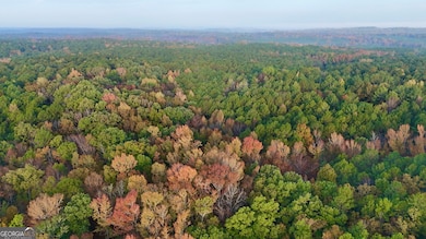 TRACT 2 Dennis Creek Rd, Talbotton, GA 31827 - photo 4