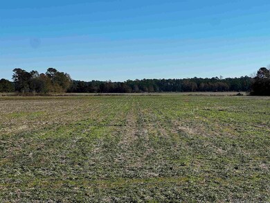 2292 Nichols Hwy, Aynor, SC 29511 - photo 6