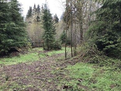 0 Robertson Rd unit 18230980, Longview, WA 98632 - photo 6