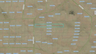 0 Chickasaw Rd unit 23621677, Hartsel, CO 80449 - photo 2