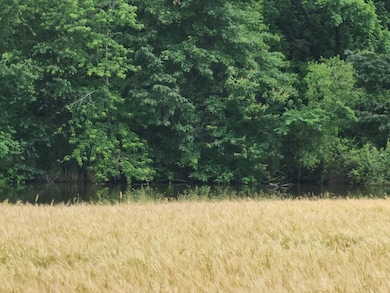 12156 E Bunny Farm Rd, Mount Vernon, IL 62864 - photo 5