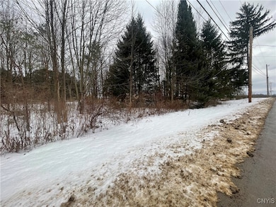 0 Emery Rd unit S1654552, Volney, NY 13069 - photo 3