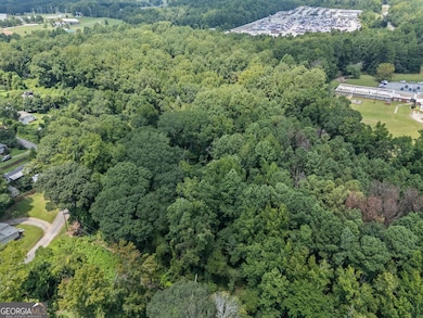 0 E Newnan Rd unit 10589167, Newnan, GA 30263 - photo 4