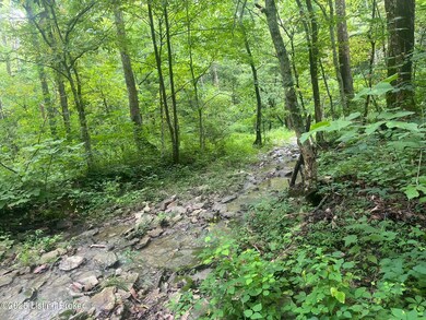 3224-4 Goose Creek Rd, Sanders, KY 41083 - photo 6