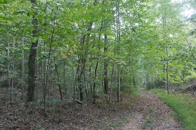 0 Tbd Bryson Cove Rd unit LotWP001, Abingdon, VA 24210 - photo 6