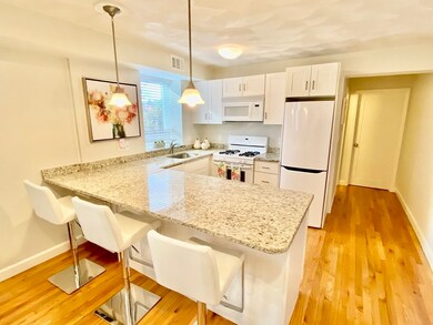 209 Commonwealth Ave unit 1, Chestnut Hill, MA 02467 - photo 3