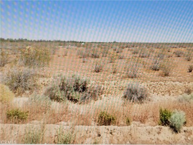 0 E 116th St unit DW25042082, Juniper Hills, CA 93543 - photo 3