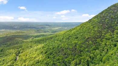 0 Highway 52 unit 415667, Chatsworth, GA 30705 - photo 6