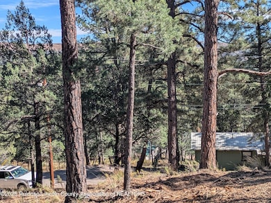 117 San Juan Rd, Ruidoso, NM 88345 - photo 5