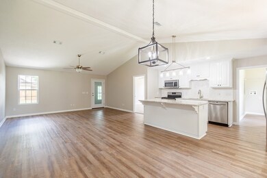 407 E 11th St, Adel, GA 31620 - photo 4