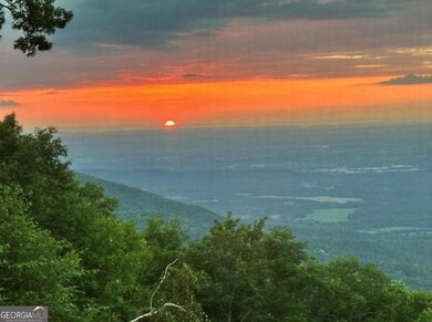 9323 Highway 52, Chatsworth, GA 30705 - photo 5