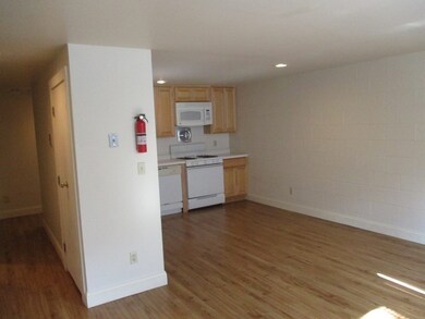 117 W Concord St unit Four, Boston, MA 02118 - photo 5