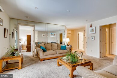 8807 Stone Ridge Cir unit 204, Pikesville, MD 21208 - photo 7