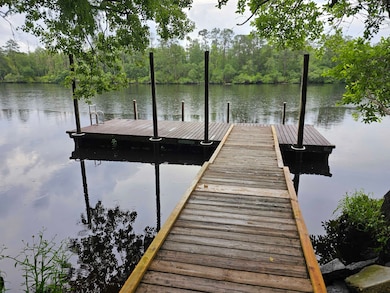 0 Pamela Place unit 386589, Sopchoppy, FL 32358 - photo 5