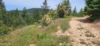 NNA E Van Dusen Rd, Harrison, ID 83833 - photo 5