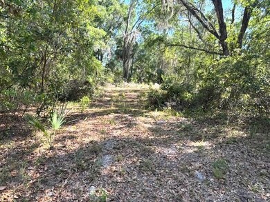 4140 S Kenvera Loop, Inverness, FL 34450 - photo 3