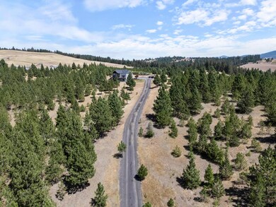 8907 S Wild Hare Ln unit 8905 S Wild Hare Ln, Mica, WA 99023 - photo 4