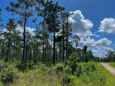 0 Cr 257 unit 22715481, Jasper, TX 75951 - photo 3