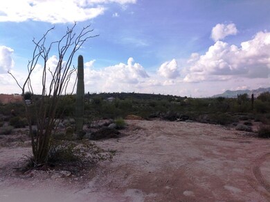 Vacant Land 1