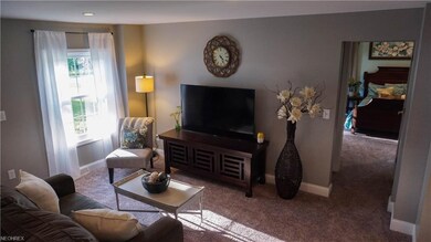 3114 N County Line Rd, Geneva, OH 44041 - photo 6