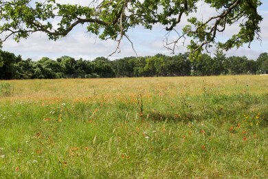 Lot 1 Old Vine unit 1, Fredericksburg, TX 78624 - photo 3