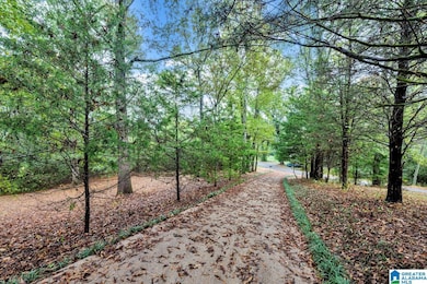 1644 Dovertown Rd, Cordova, AL 35550 - photo 2