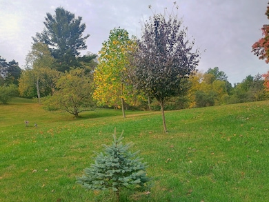 14985 157th Ave, Big Rapids, MI 49307 - photo 7