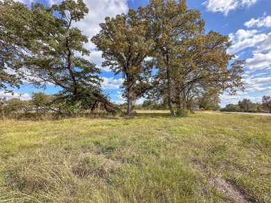 TBD Hwy 274, Kemp, TX 75143 - photo 4