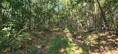 0000 Nc 6277, Jasper, AR 72641 - photo 7