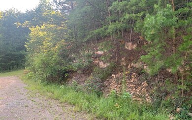 Additional View