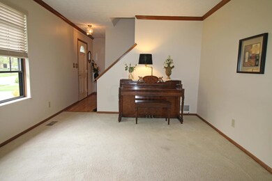 Plush carpet
