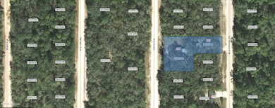 821 Del Monaco Ave, Interlachen, FL 32148 - photo 2