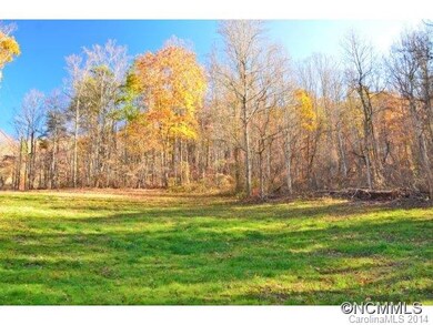 81 Redbud Ln, Leicester, NC 28748 - photo 3