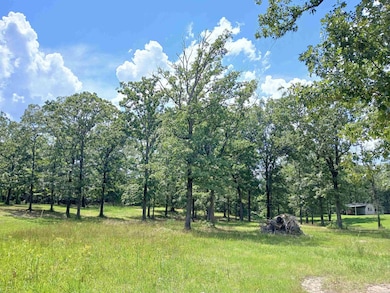 224 Veranda Trail, Pearcy, AR 71964 - photo 5