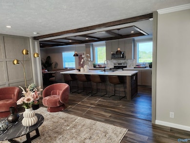 123 County Road 55, Rogersville, AL 35652 - photo 4