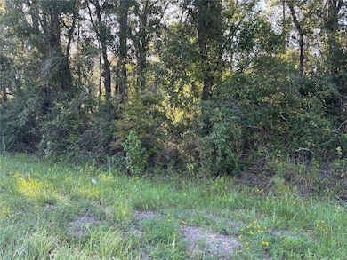 0 NE Highway 351, Cross City, FL - photo 4