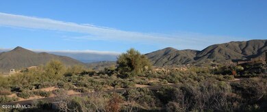 IMG_4390