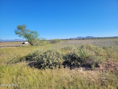 39.85 Ac N Pomerene Rd, Benson, AZ 85602 - photo 2