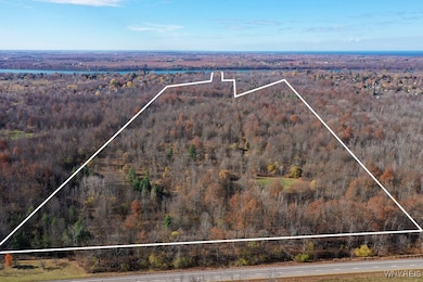 0 Lower River Rd, Youngstown, NY 14174 - photo 2