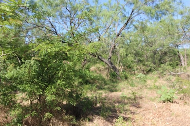 TBD Farm To Market Road 2860, Kemp, TX 75143 - photo 3