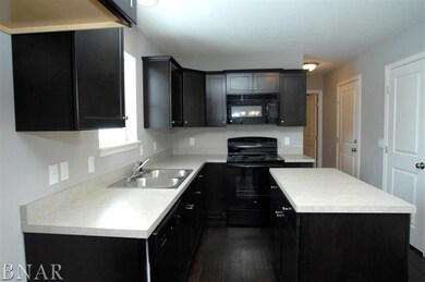 125 N Gadwall Ln, Downs, IL 61736 - photo 2