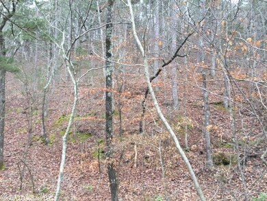 2335 Polk Road 61, Mena, AR 71953 - photo 3