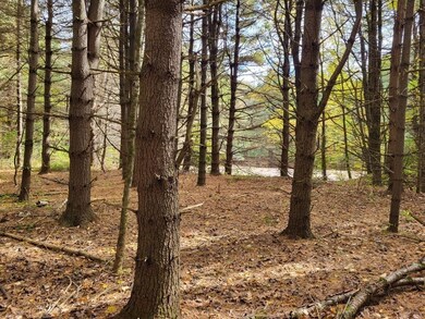 RR Stickney Hill Rd, Union, CT 06076 - photo 3