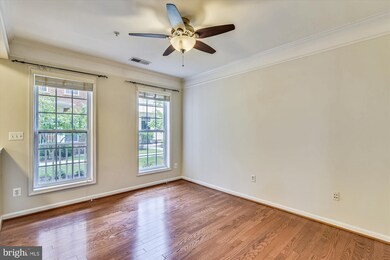 41963 Blue Flag Terrace, Stone Ridge, VA 20105 - photo 4