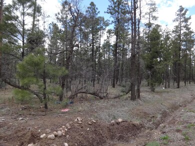 Muzral Richardson Lane (17)