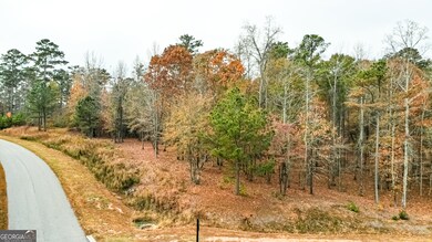 0 Alston Point unit LOT 410/411, Newnan, GA 30263 - photo 3